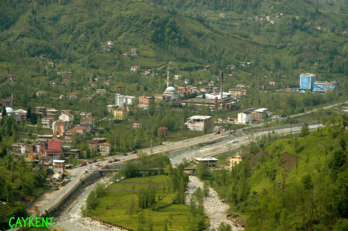 Salarha yollar