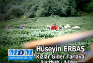 Kzlar gider tarlaya